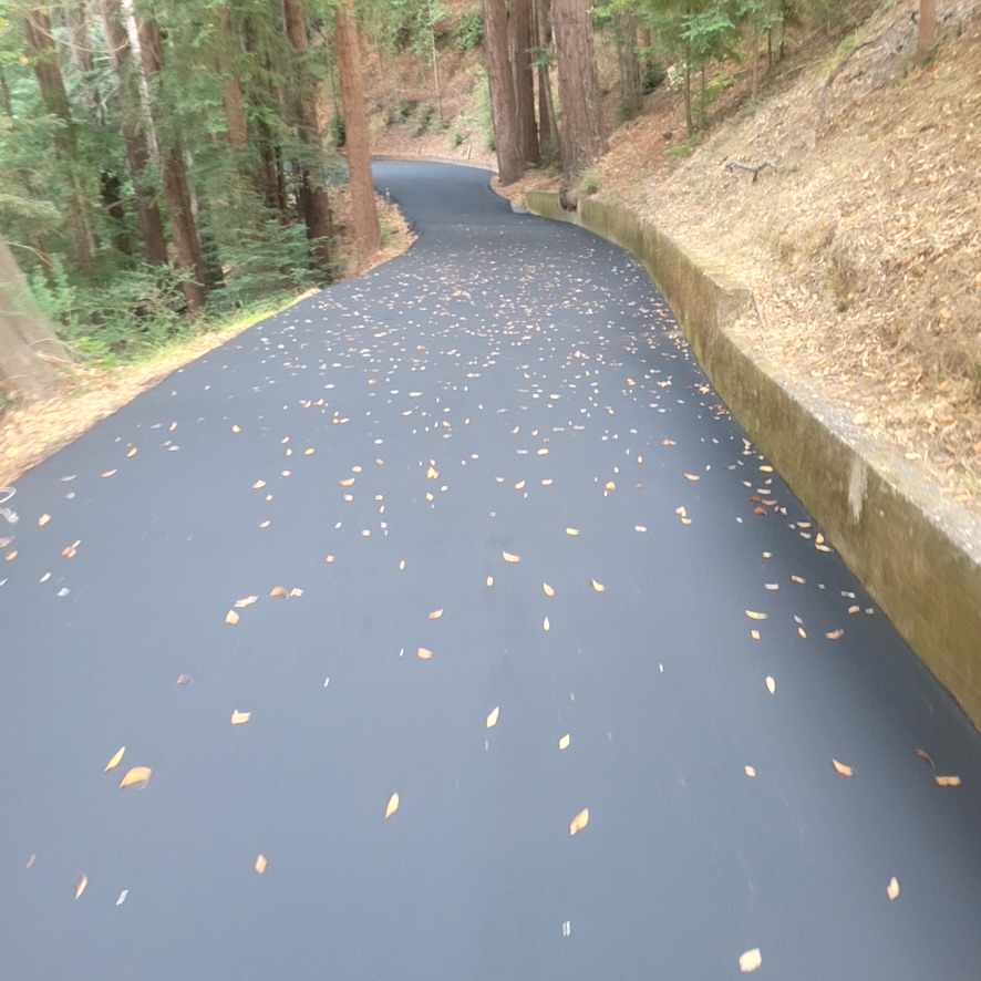 Newly surfaced private asphalt road through trees